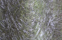 Garn fibreglass roof work